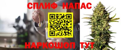 шишки Бийск