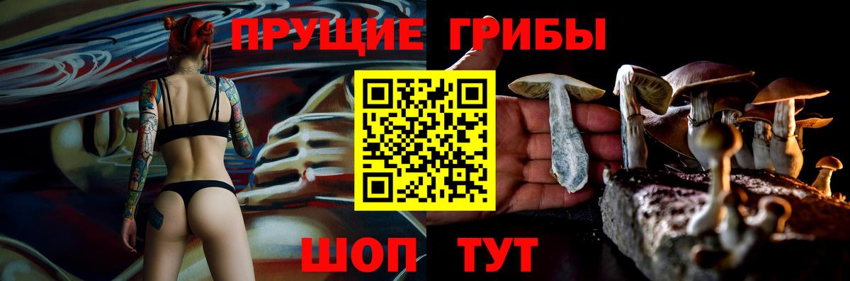 Галлюциногенные грибы мицелий Кизилюрт